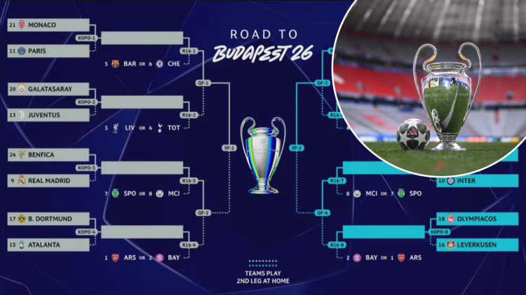  › Guadalupa Ciudadana