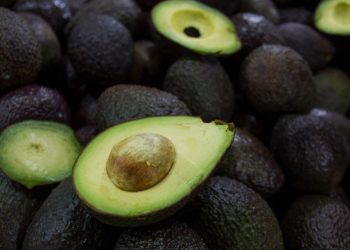 Aguacate-super-bowl-mÉxico › Guadalupa Ciudadana