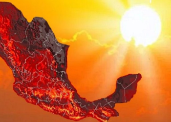 Destacadas Pajas B3 - 2026-02-03t123725603 › Guadalupa Ciudadana › Guadalupa Ciudadana