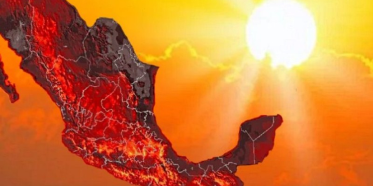 Destacadas Pajas B3 - 2026-02-03t123725603 › Guadalupa Ciudadana › Guadalupa Ciudadana