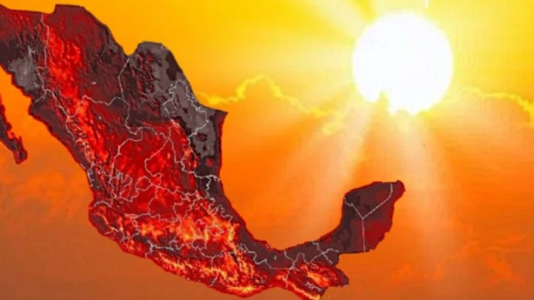  › Guadalupa Ciudadana