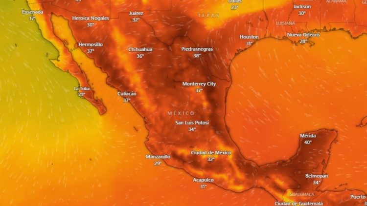 Ola-de-calor-mÉxico › Guadalupa Ciudadana