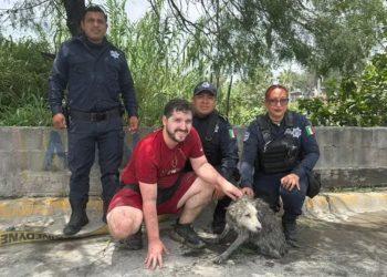 recate perrita guadalupe