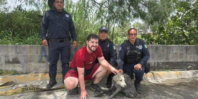 Recate Perrita Guadalupe › Guadalupa Ciudadana
