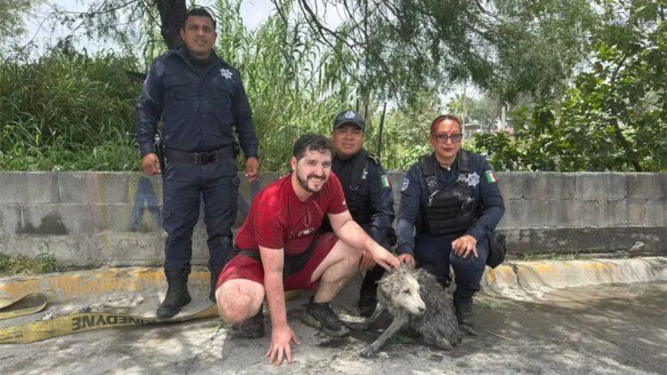 Recate Perrita Guadalupe › Guadalupa Ciudadana