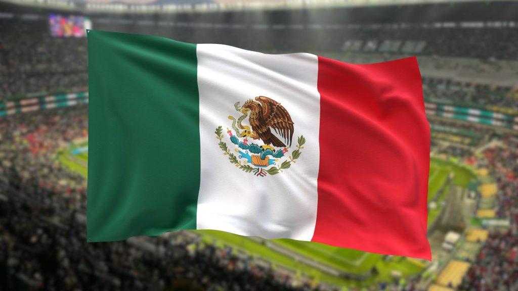 Fortaleza Defensiva Del Equipo Mexicano › Guadalupa Ciudadana