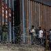 Trump Mexico Estados Unidos › Guadalupa Ciudadana