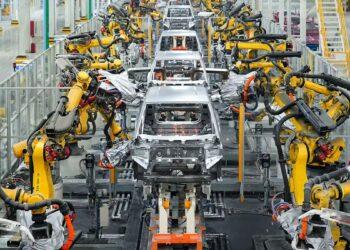 Produccion-autos-chinos-mexico › Guadalupa Ciudadana Producción Autos Chinos México › Guadalupa Ciudadana